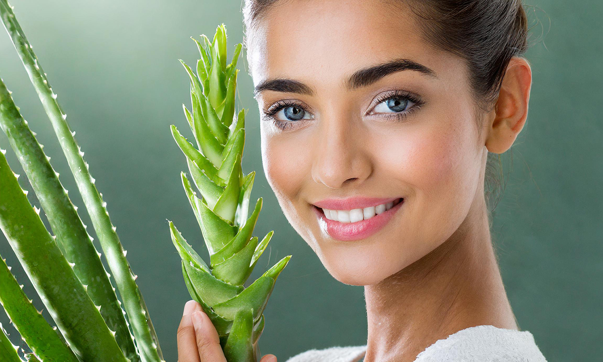 Benefits of Aloe Vera Gel extract as an ingredient in skincare